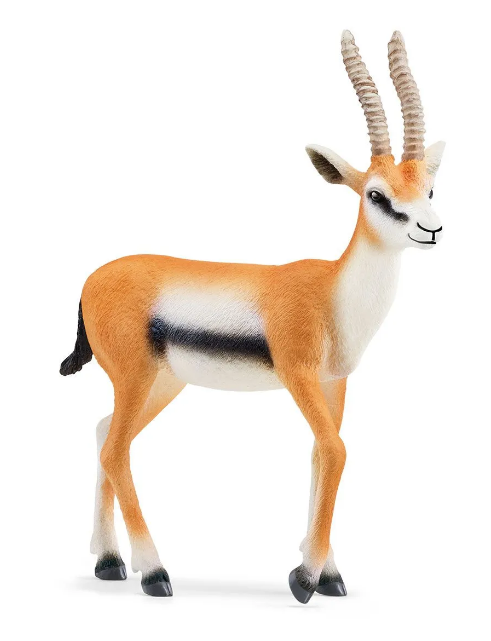 SCHLEICH 14861 WILD LIFE THOMSON GAZELLE