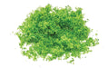 Hornby R7161 Flock - Bright Green