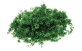 Hornby R7163 Flock - Dark Green