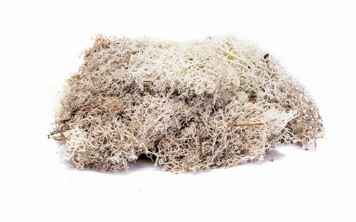 Hornby R7193 Lichen - Stone Grey