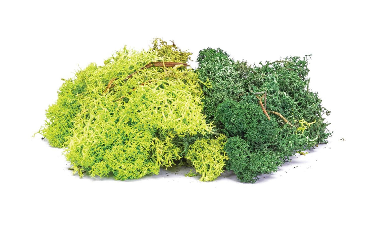 Hornby R7194 Lichen - Green Mix