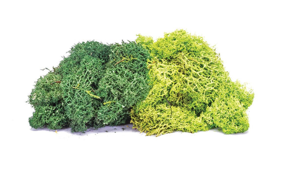 Hornby R7195 Lichen - Large Green Mix
