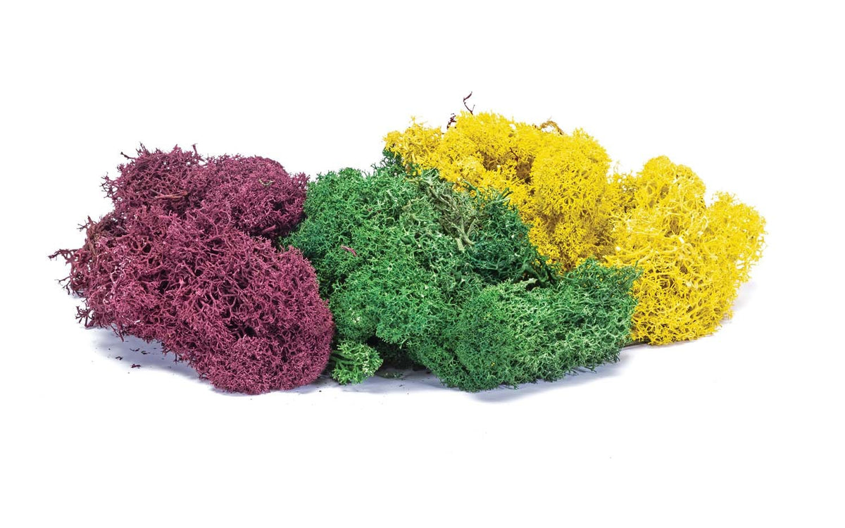 Hornby R7197 Lichen - Large Autumn Mix