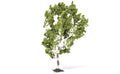 Hornby R7215 Birch Tree