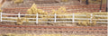 PECO RATIO 216 FLEXIBLE WOODEN LINESIDE  FENCING WHITE