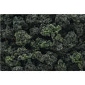 WOODLAND SCENICS FC149 FOREST BLEND