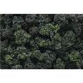 WOODLAND SCENICS WFC1649 BUSHES FOREST BLEND