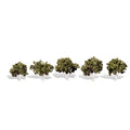 WOODLAND SCENICS TR3532  1¼"-2" Classic Waters Edge (5/Pk)