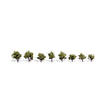 WOODLAND SCENICS EARLY LIGHT TREES TR3545  3/4 in - 1 1/4 in (1.9 cm - 3.17 cm)